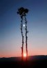 IMG-20170519-WA0011.jpg
