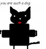 a  dog.JPG