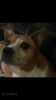 Screenshot_2017-06-16-18-08-50.png