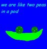 2piap.JPG