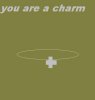 a charm.JPG