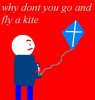 a kite.JPG