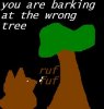 abarks.JPG