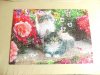 cats 001.JPG