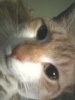 babycloseup2.jpg