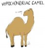 September-27-2011-17-34-17-camel.jpeg