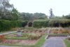 garden2.jpg