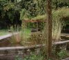 garden1.jpg