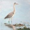 4057000_Grey_Heron_Dollymount_002.jpg