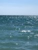 3DB60D28-3FD8-42A8-BA83-EC2D82622CFE.jpeg