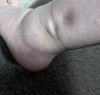 PXL_20250322_233018528.jpg