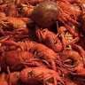 SouthernMom