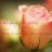 Hope&Joshua179