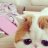 liselle